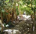 Pressi Via Pergolesi - Ampio Trivano Con Giardino
