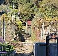Terreno Con Baracca E Taverna