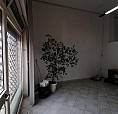 Appartamento Ristrutturato Via Braico