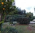 Appartamento Sanremo [Sr29Vrg]