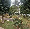 Lama Circ. Dei Fiori 4Vani Panoramico P.a. Cantina