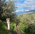 Appartamenti In Villa Lavagna