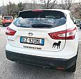 Nissan Qashqai 1.5 Dci Business