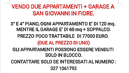 Due Appartamenti Più Garage Grande