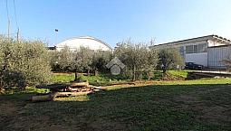 3 Locali A Lamporecchio