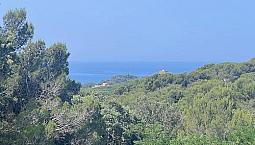 Rif. V824 Castiglioncello, Charme Vista Panoramica