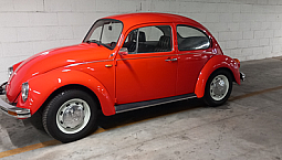 Volkswagen Maggiolino New Mexico 82