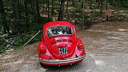 Maggiolino Maggiolone Volkswagen