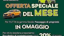 Skoda Karoq 1.5 Tsi Act Dsg Executive