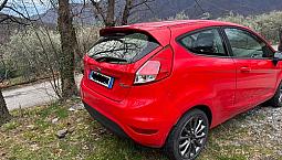 Ford Fiesta Neopatentati