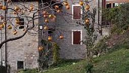 Casa Rurale Da Ristrutturare