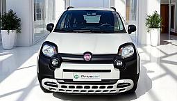 Fiat Panda 1.0 Firefly S&s Hybrid City Cross