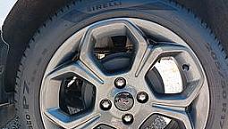 Ford Ecosport 1.0 St-Line-Xenon-Telcamera - 2022