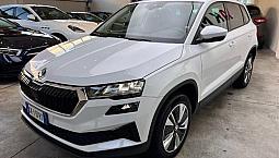 Skoda Karoq 2.0 Tdi Evo Scr 115 Cv Dsg Executive