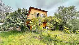 Villa Singola Con Ampio Uliveto