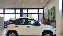 Fiat Panda S7 1.0 Hybrid - Km0