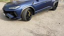 Ursu Performante