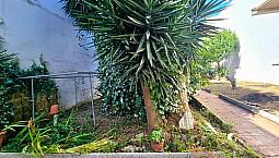 Spaziosa Abitazione Con Ampio Giardino, Alezio