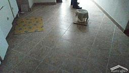 Appartamento - Guardialfiera