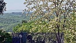Appartamento A Barberino Tavarnelle - Vico D Elsa