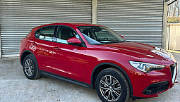 Alfa Romeo Stelvio 2.2 180 Cv At8 Q4