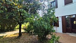 Appartamento Su Casa Bifamiliare Con Scoperto
