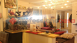 Appartamento Livorno [3338Vrg]