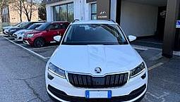 Skoda Karoq 2.0 Tdi Evo Scr 115 Cv Dsg S-Tech