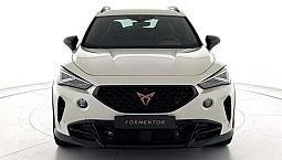 Cupra Formentor 2.5 Tsi Vz5 Taiga Grey 4Drive Dsg