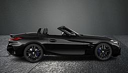 Bmw Z4 Sdrive20i Msport +19