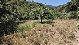 Appartamento Di 146 M² Con 5 Locali A Teano