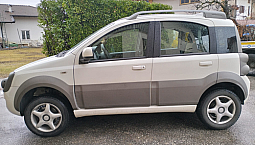 Panda Cross