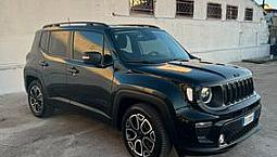 Renegade 1.6 Mjt Ddct 120 Cv Business