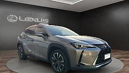Lexus Ux 250H 2.0 Premium 2Wd Cvt