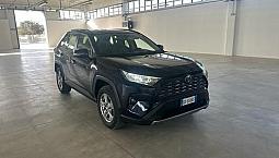 Toyota Rav 4 Rav4 2.5 Hv (218cv) E-cvt 2wd Style
