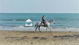 Rif.ap42_8| Appartamento Trilocale