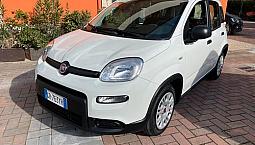 Fiat Panda 1.0 Firefly S&s Hybrid Garanzia Fiat