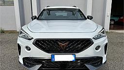 Cupra Formentor 2.0 Tdi 4Drive Dsg