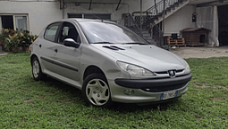 Peugeot 206 Adattata Guida Disabili