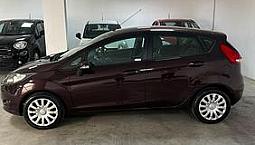 Ford Fiesta 1.4 5 Porte Bz.- Gpl Titanium