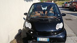 Smart 450