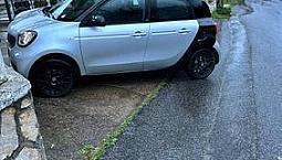 Vendesi Smart Forfour