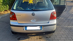 Polo 2004