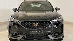 Cupra Formentor 2.0 Tdi 4Drive Dsg