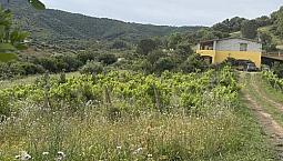 Suggestivo Appartamento Al Piano Terra Con Giardin