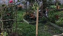 Trilocale 65Mq