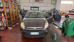 Fiat Punto Evo 1.2 Gpl (Neopatentati)