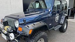 Jeep Wrangler Wrangler 4.0 Sport C.l. Hard Top