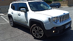 Renegade