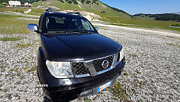Nissan Navara D40